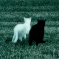 mọi người có mặt