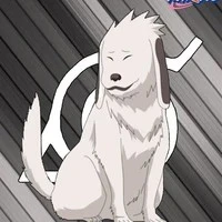 Akamaru