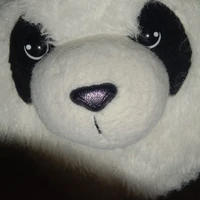 Hệ thống 1570_ Pouries