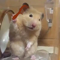 tác giả ( thần )