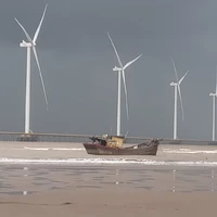 thằng cha bín thái -))