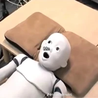 tác giả mê vong tiện