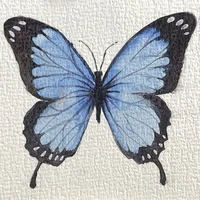 Tg k thể bắt lỗi chính tả