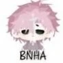 hiha bnha