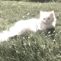 009_Riuu[hệ thống]