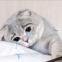 원서영