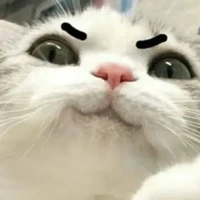 vợ của Captain Boy