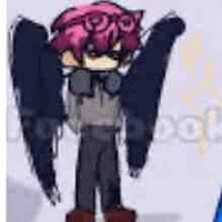 hiha crow