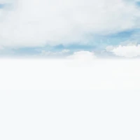 T/g cuti tự do đáng yêu