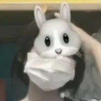 Sako