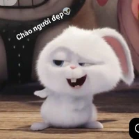 Thỏ Bạch