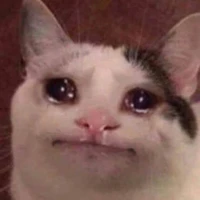 t/g