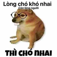 Tác giả