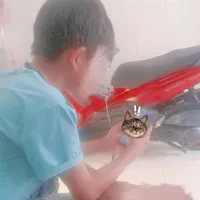 Tuấn Toàn