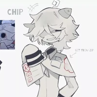 Chip