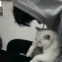monster/mon đần