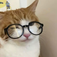 T/g lười