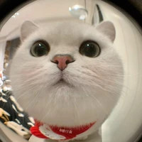 t/g_ con hủ chính hiệu^^