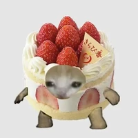 💅door slay✨(không có ảnh nào phù hợp 😔