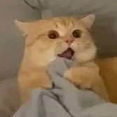 Tác giả cute - Vasilya