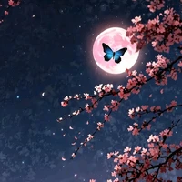 tác giả xinh gái