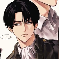 🧹Levi Ackerman🧽