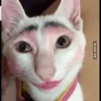 hệ thống kiêm luôn tg