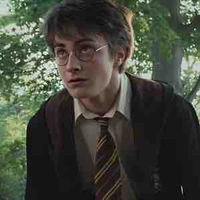Harry Potter- cậu