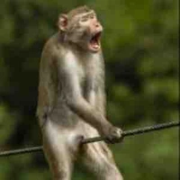 Ba đứa nghiện boy love