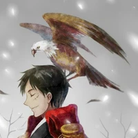 monkey d Luffy