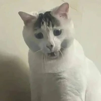 t/g bị mệt