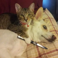 ☆Yumi-Cappuccino☆ (t/g)