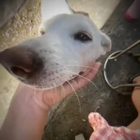 Mun bayy tới đâyy