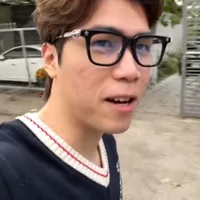 anh crazy lion