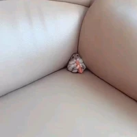 ？？？