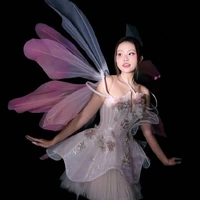 Phương Mĩ Chi
