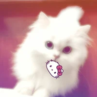 ngọc diệp cuti 🌷