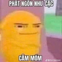 ba con báo