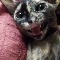 Tất cả những người ở đó