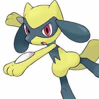 Riolu