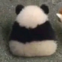 T/g thiếu hủ muối 
