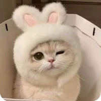 hệ thống 001