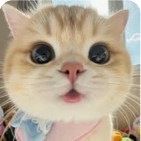 hệ thống 002