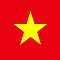 Ngô tổng ( tác giả)