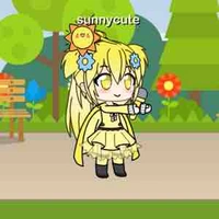 Sunny 