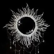 những survivo có mặt