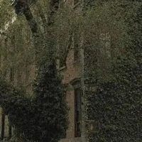 all các quản trị viên thế giới