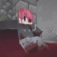 hiha_Oops