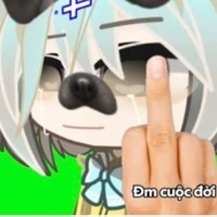 cả hai