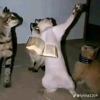 Triệu thúc / tg không biết mặt